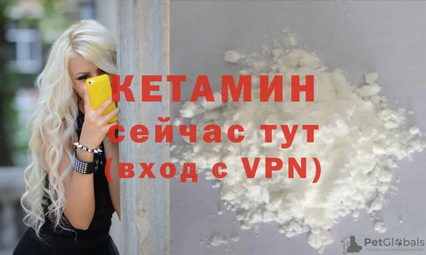 прущие грибы Березники