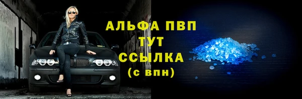 прущие грибы Березники