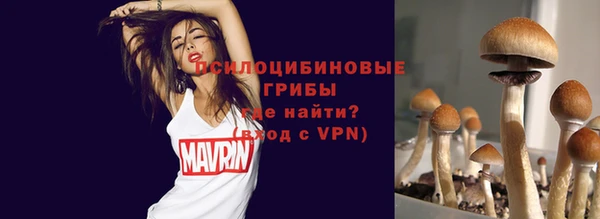 прущие грибы Березники