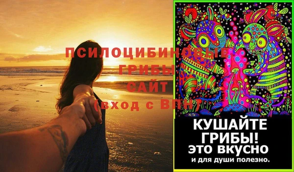 a pvp Михайлов