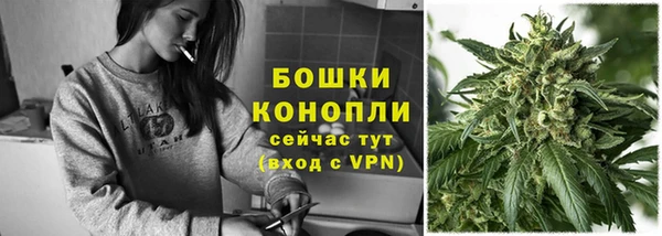 мдпв Домодедово