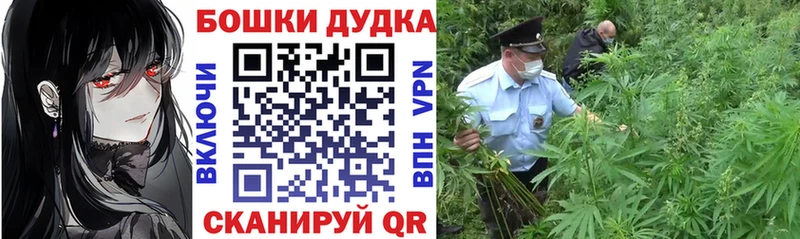 Бошки Шишки семена Щёлково